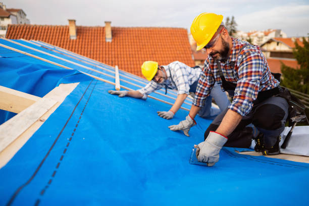 Best Roof Maintenance Services  in Mion, AR