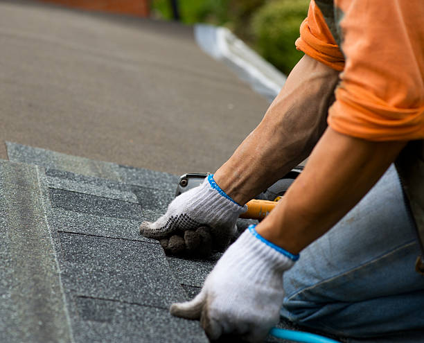 Best Roof Repair Services  in Mion, AR