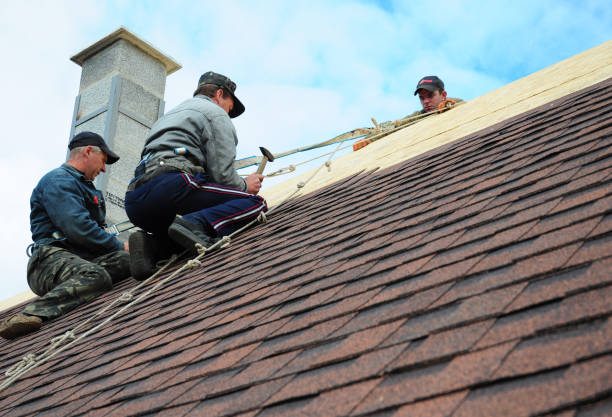 Best Roof Gutter Cleaning  in Mion, AR