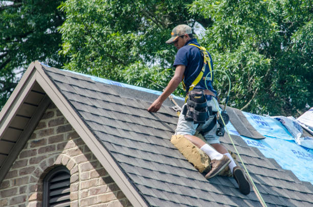 Best Residential Roofing Contractor  in Mion, AR